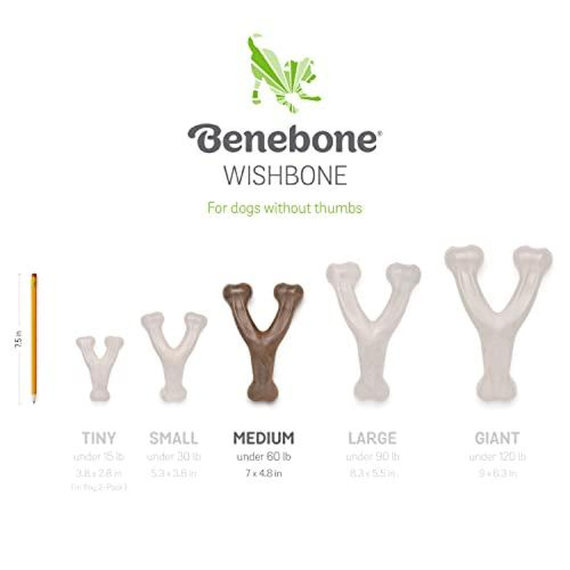 Medium Benebone Bacon Chew Toy for Aggressive Chewers - USA Made