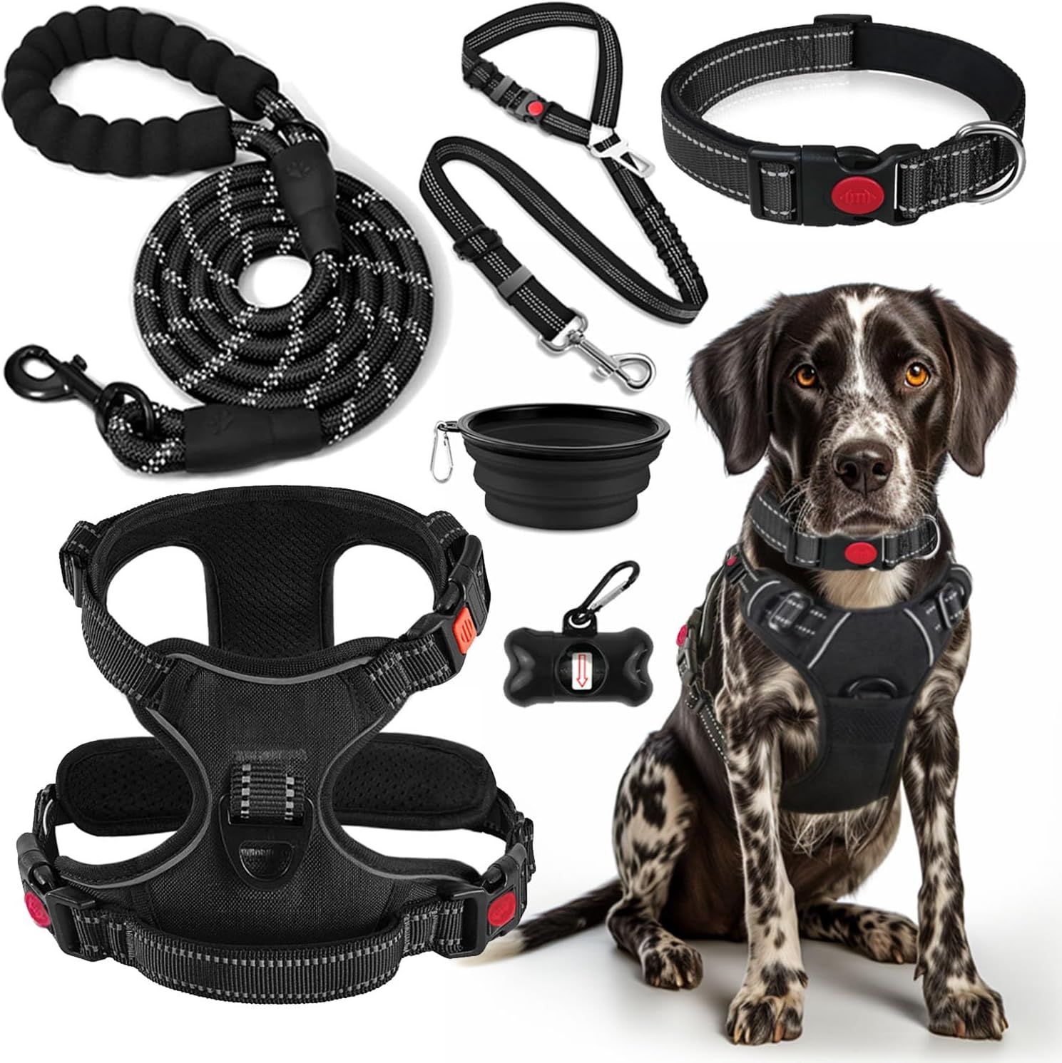 No Pull Dog Harness, Collar & Leash Set | Includes Dog Seat Belt, Collapsible Bowls & Poop Bag Dispenser. Ideal for Training, Walking, Hiking. Fits Small to Large Dogs(Blue-L)